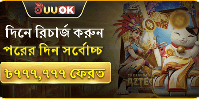 দৈনিক ভিআইপি ক্যাশব্যাক রিবেট promotion